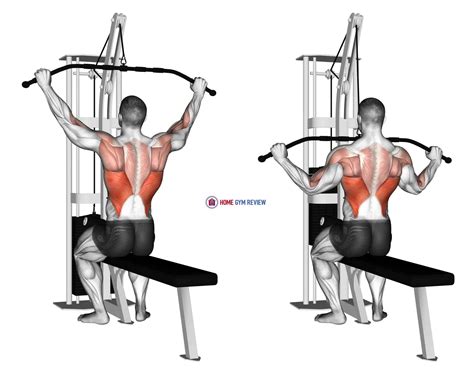 This exercise index is my favorite way to do a pulldown. . Cable pull downs